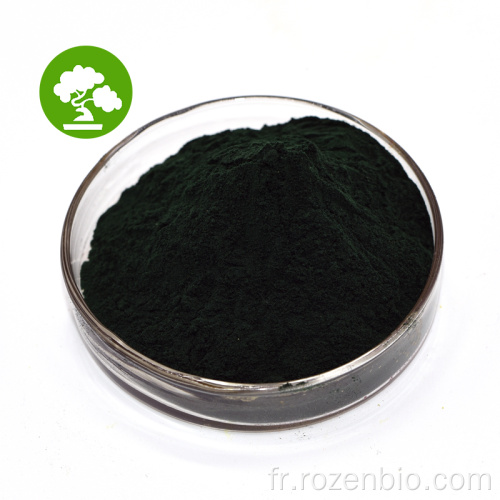 Chlorophylline de magnésium de sodium en vrac